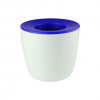 Blue Mini Desk Plant Pots